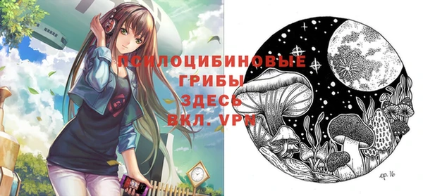 таблы Алексеевка