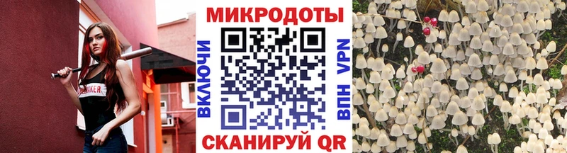 купить наркотики сайты  Жуковка  Галлюциногенные грибы мухоморы 