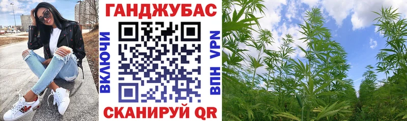 даркнет сайт  Жуковка  Бошки марихуана сатива 